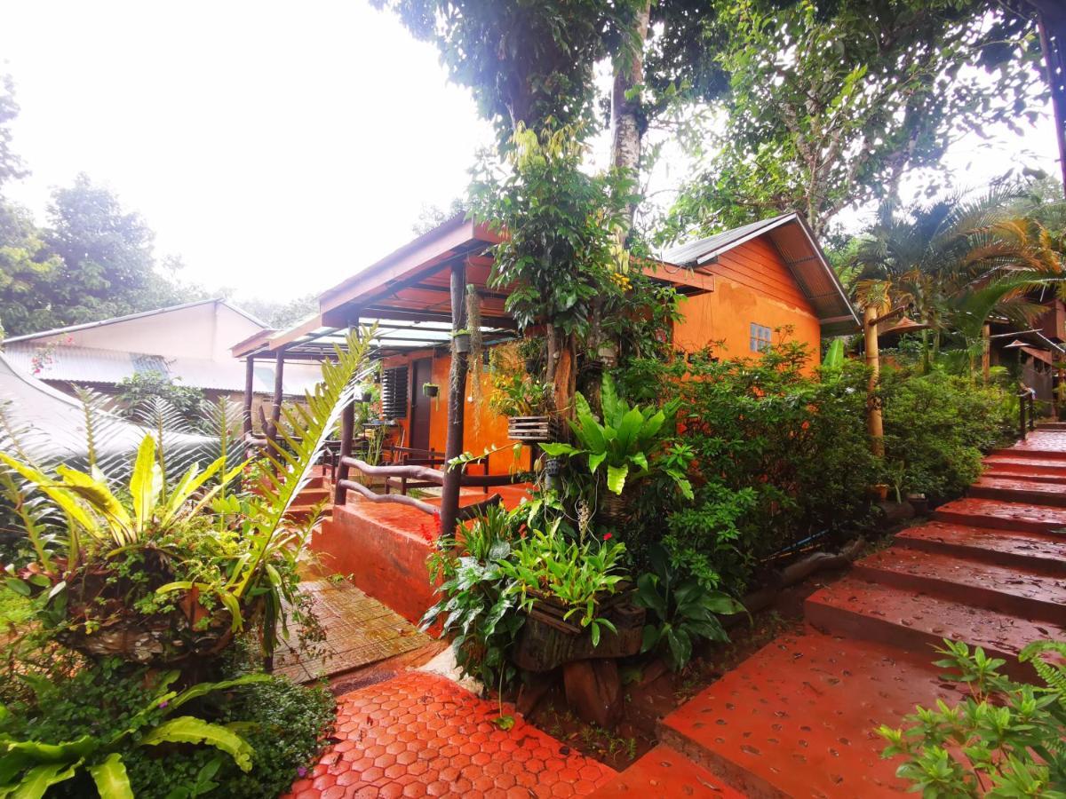 บ้านดินโฮมสเตย์ ปางอุ๋ง Ban Huai Makhuea Som Exteriér fotografie