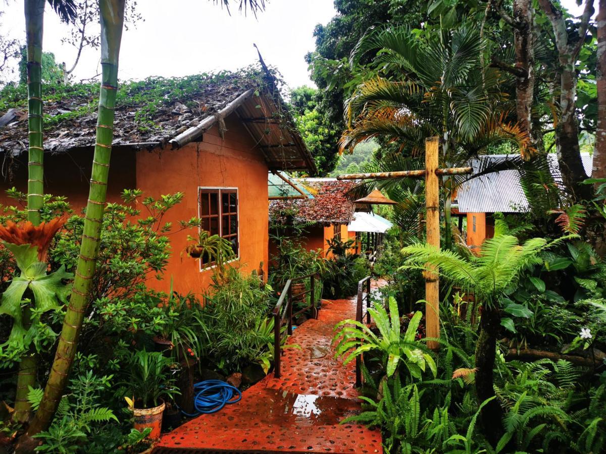 บ้านดินโฮมสเตย์ ปางอุ๋ง Ban Huai Makhuea Som Exteriér fotografie
